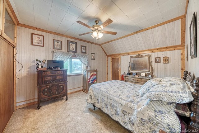 646 C St, Salida, CO 81201 - photo 28