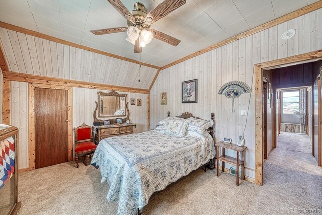 646 C St, Salida, CO 81201 - photo 29