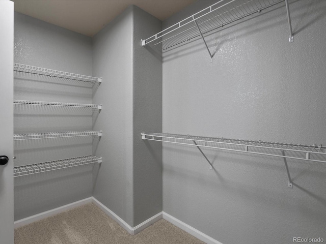 7131 S Wenatchee Way Unit C, Aurora, CO 80016 - walk in closet featuring carpet
