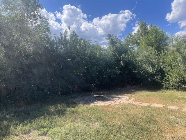 1515 S Monaco Pkwy, Denver, CO 80224 - photo 19