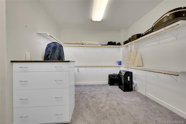 spacious closet featuring light carpet