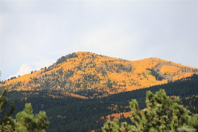 view of mountain feature