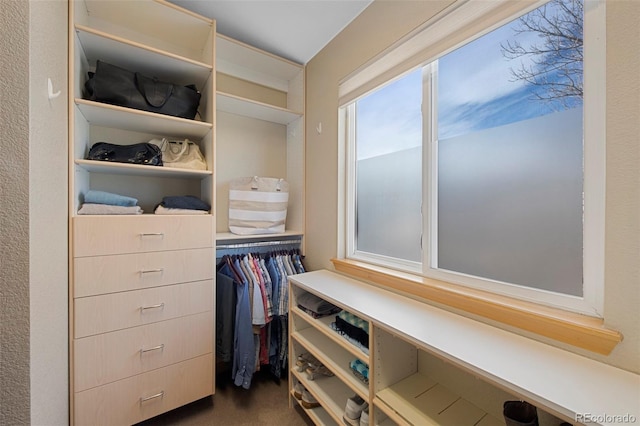 spacious closet featuring dark carpet