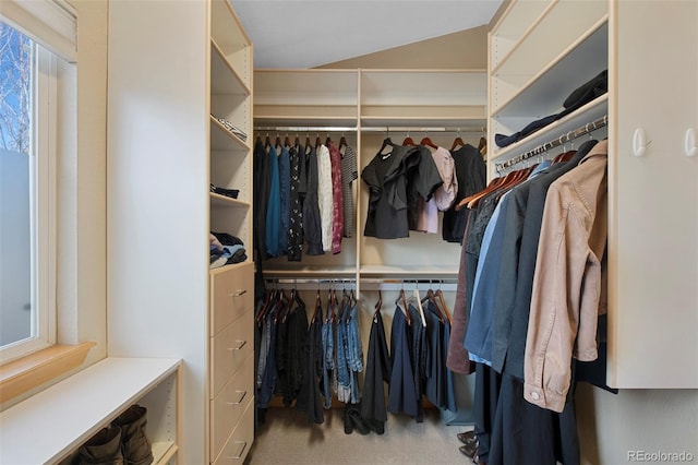 walk in closet featuring carpet and lofted ceiling