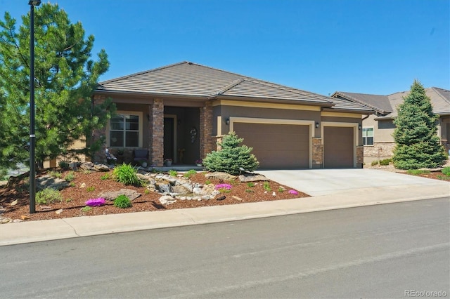 438 Galaxy Dr, Castle Rock, CO 80108 - photo 3