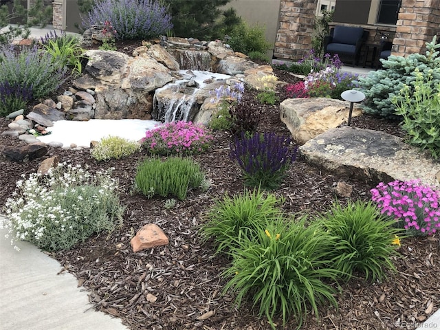 438 Galaxy Dr, Castle Rock, CO 80108 - photo 5