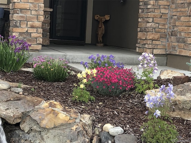 438 Galaxy Dr, Castle Rock, CO 80108 - photo 6