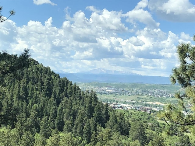 438 Galaxy Dr, Castle Rock, CO 80108 - photo 17