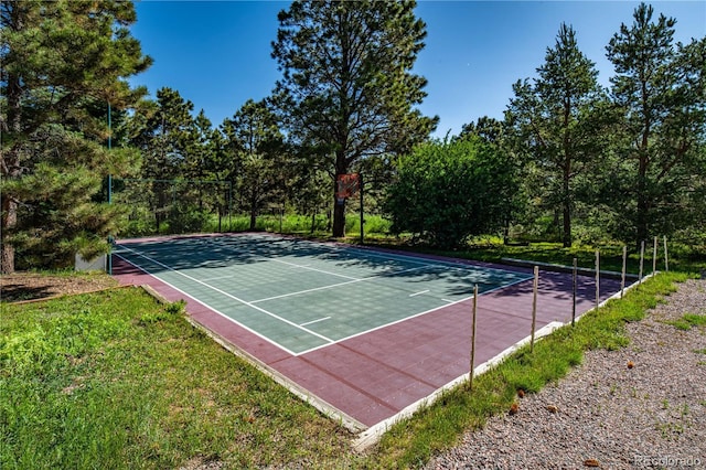 17815 Saddlewood, Monument, CO 80132 - view of tennis court