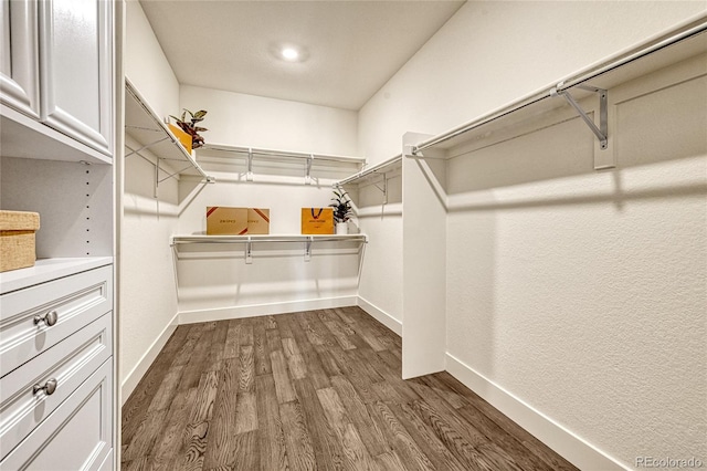 walk in closet featuring dark hardwood / wood-style flooring