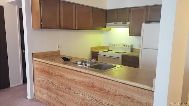 kitchen with dark brown cabinets, light carpet, sink, and white appliances