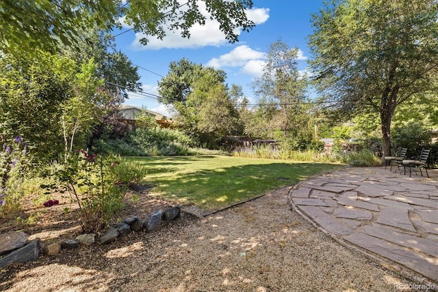 15940 W 3rd Pl, Golden, CO 80401 - photo 32