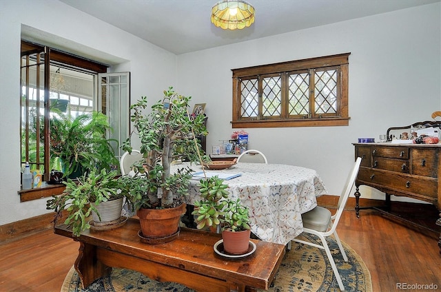 dining space with hardwood / wood-style flooring and a healthy amount of sunlight