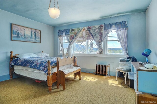 1520 F St, Salida, CO 81201 - photo 16