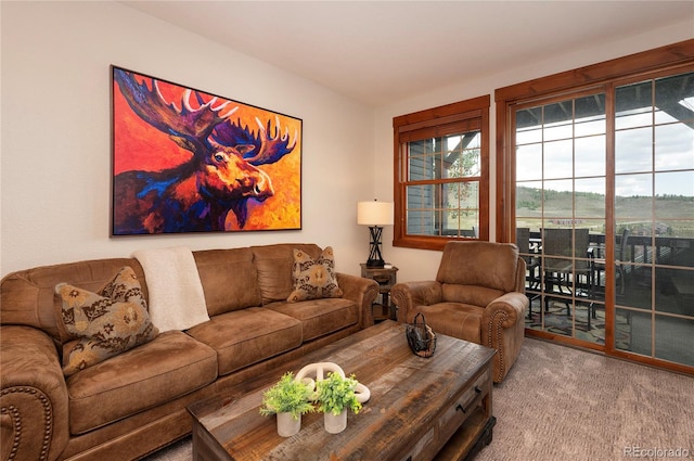 view of carpeted living room