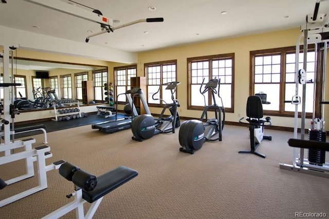 gym featuring carpet flooring