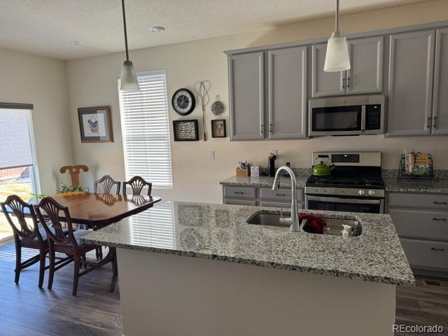 kitchen with dark wood-style flooring, light stone countertops, stainless steel appliances, gray cabinetry, and a sink