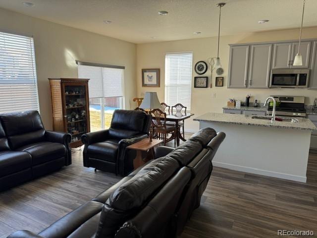 living area with dark wood-style floors and a wealth of natural light