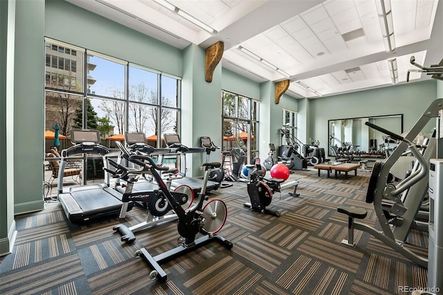 gym featuring carpet flooring and a towering ceiling