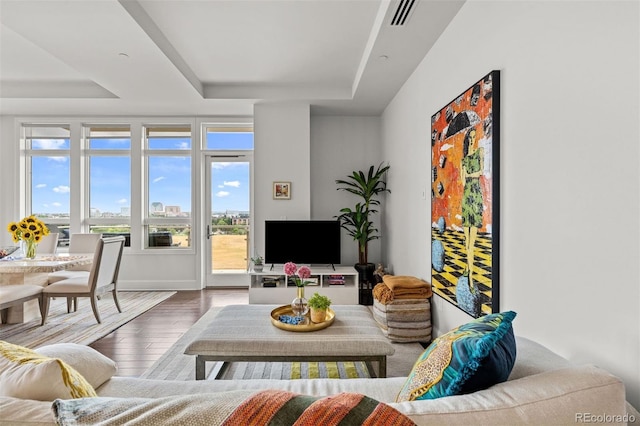 living room featuring a tray ceiling and hardwood / wood-style flooring