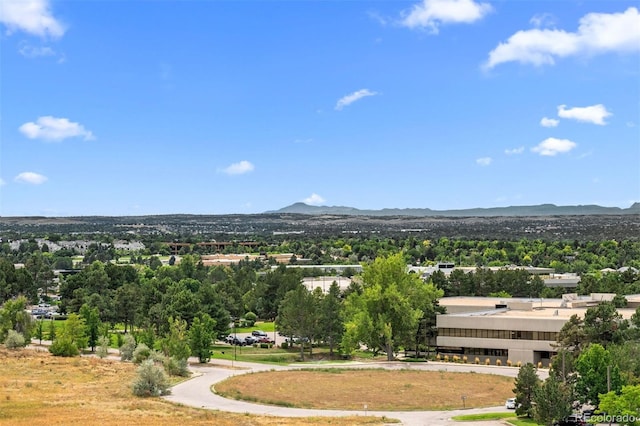 view of mountain feature