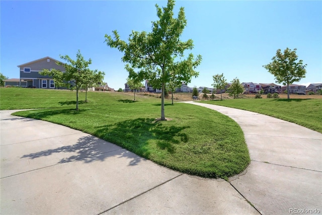 1696 Odyssey Ct, Castle Rock, CO 80109 - photo 38