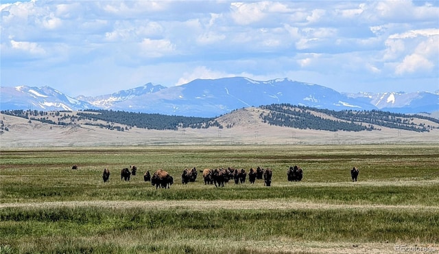 8127 Larimer Rd, Hartsel, CO 80449 - photo 6