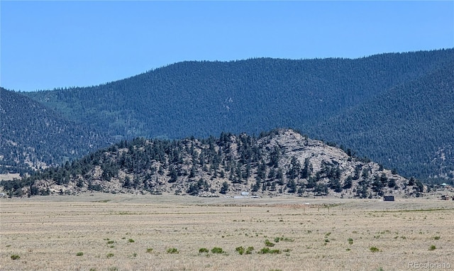 8127 Larimer Rd, Hartsel, CO 80449 - photo 9