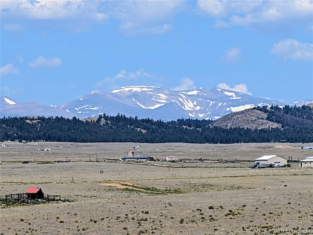 8127 Larimer Rd, Hartsel, CO 80449 - photo 11