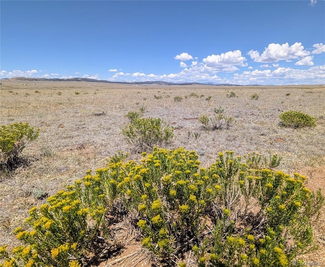 8127 Larimer Rd, Hartsel, CO 80449 - photo 13