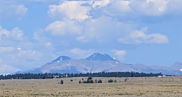 8127 Larimer Rd, Hartsel, CO 80449 - photo 14