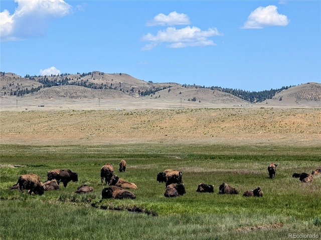 8127 Larimer Rd, Hartsel, CO 80449 - photo 17
