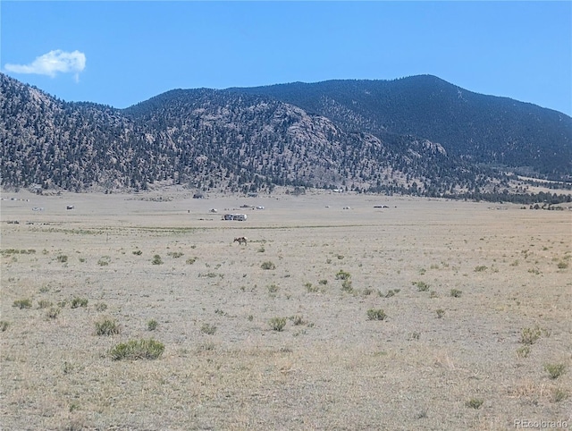 8127 Larimer Rd, Hartsel, CO 80449 - photo 18