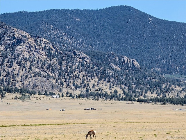 8127 Larimer Rd, Hartsel, CO 80449 - photo 19