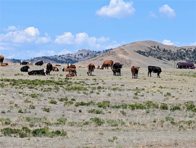 8127 Larimer Rd, Hartsel, CO 80449 - photo 20