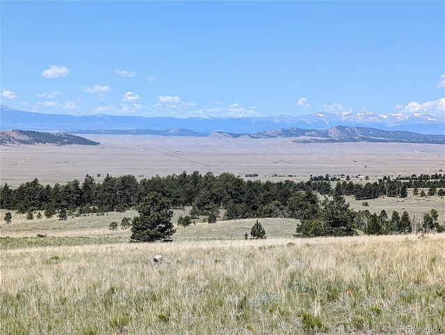 8127 Larimer Rd, Hartsel, CO 80449 - photo 21