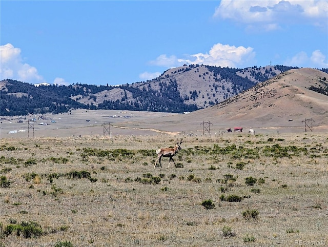8127 Larimer Rd, Hartsel, CO 80449 - photo 23