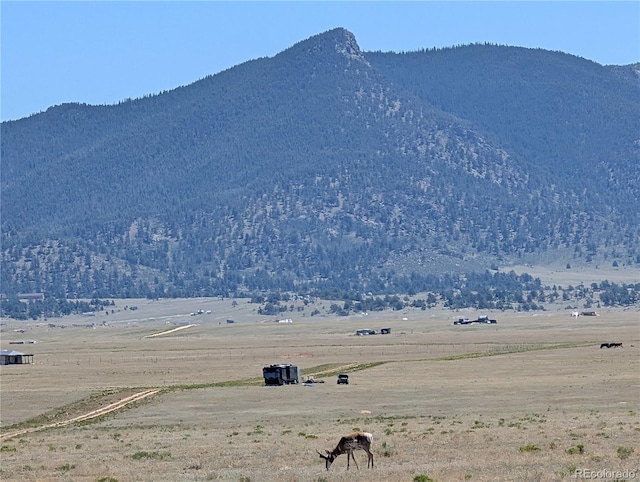 8127 Larimer Rd, Hartsel, CO 80449 - photo 24