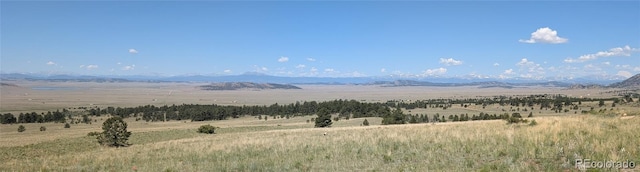 8127 Larimer Rd, Hartsel, CO 80449 - photo 26