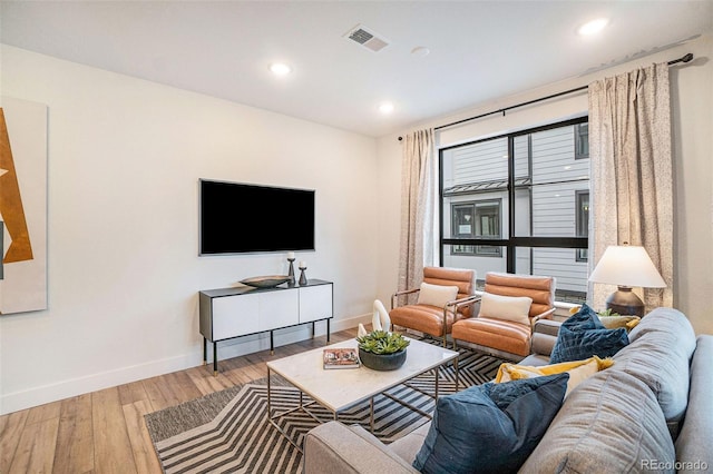 living room featuring wood-type flooring