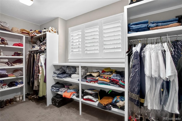 31189 Manitoba Dr, Evergreen, CO 80439 - walk in closet with carpet