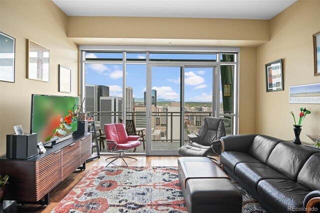 living area with wood finished floors