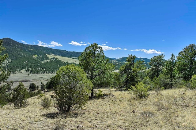 87 Wagon Wheel Cir, Guffey, CO 80820 - photo 1