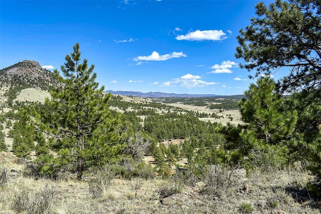 87 Wagon Wheel Cir, Guffey, CO 80820 - photo 2