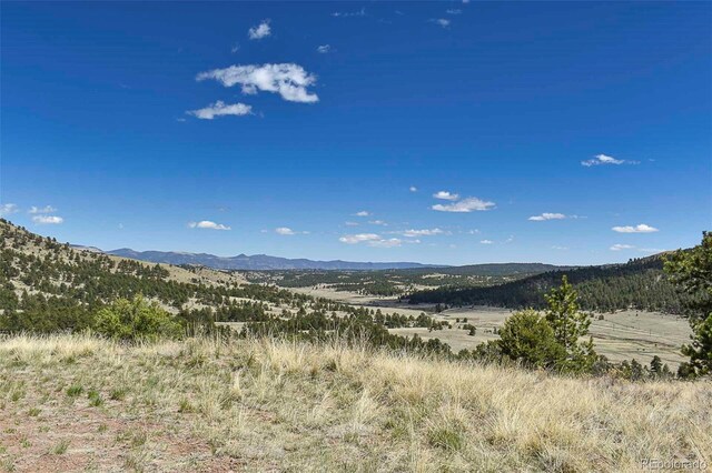 87 Wagon Wheel Cir, Guffey, CO 80820 - photo 3