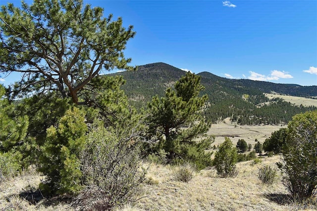 87 Wagon Wheel Cir, Guffey, CO 80820 - photo 4