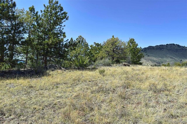 87 Wagon Wheel Cir, Guffey, CO 80820 - photo 5