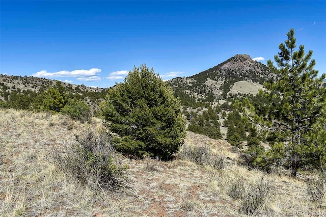 87 Wagon Wheel Cir, Guffey, CO 80820 - photo 6