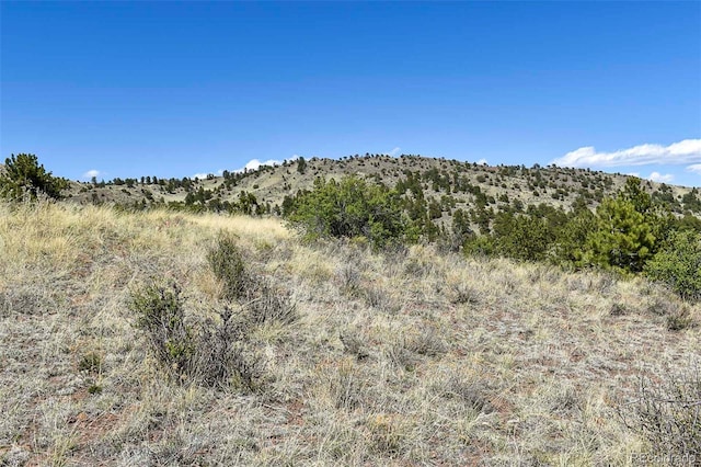 87 Wagon Wheel Cir, Guffey, CO 80820 - photo 7