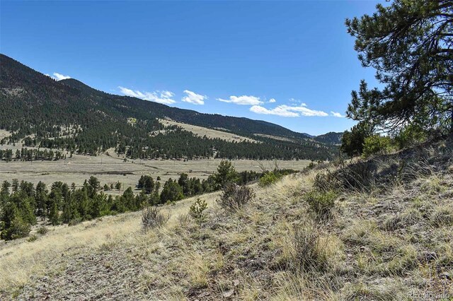 87 Wagon Wheel Cir, Guffey, CO 80820 - photo 8